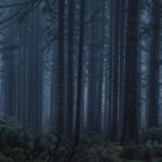 fotopozadí č.85, 9x5m