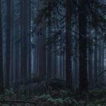 fotopozadí č.86, 9x5m